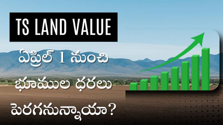 TS Land Value