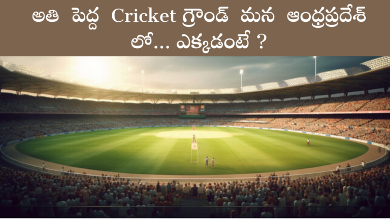 Cricket