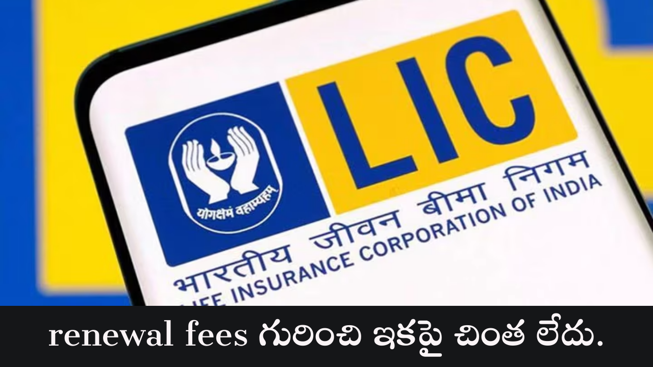 renewal fees