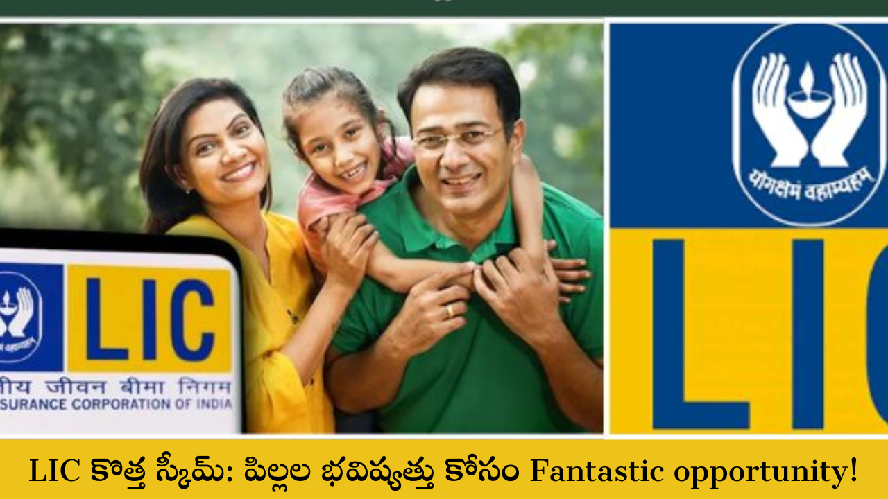 Fantastic opportunity!