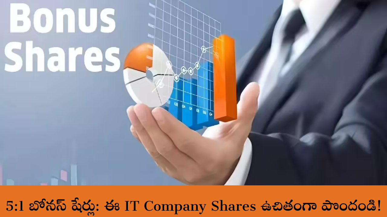 IT Company Shares